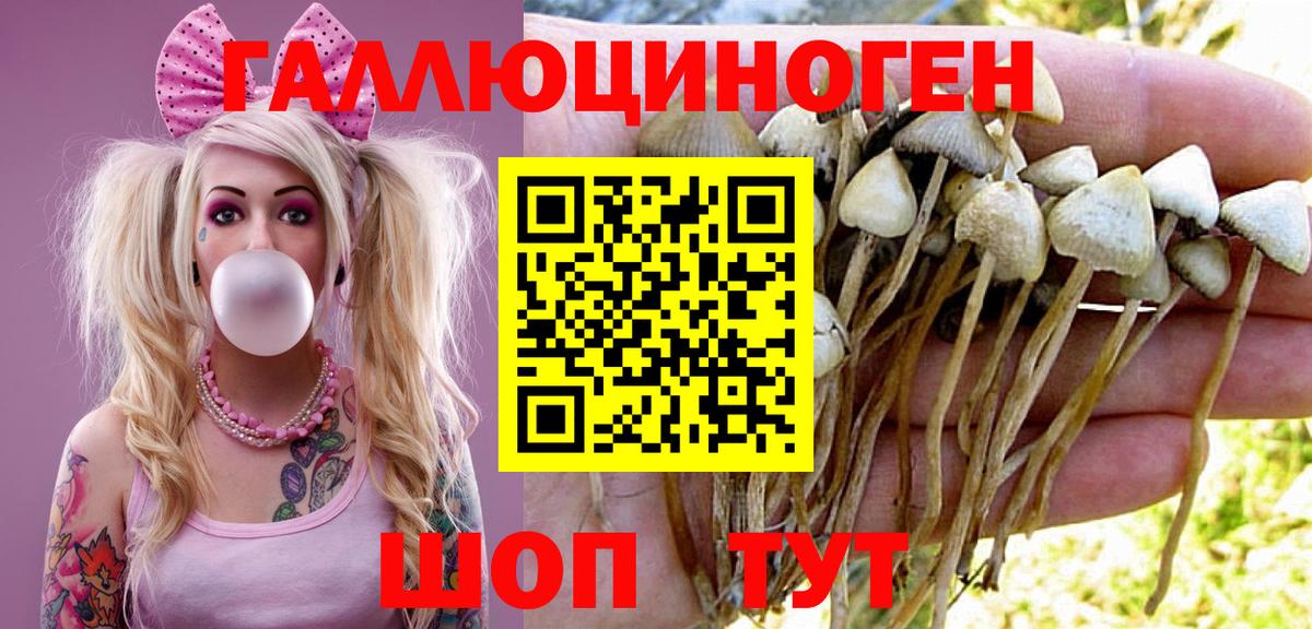 Галлюциногенные грибы MAGIC MUSHROOMS Невинномысск